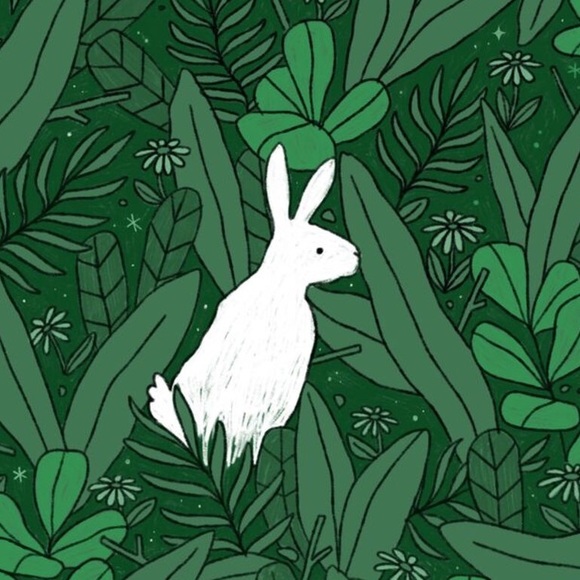 Meet your Posher, Jasmine - Picture 1 of 1